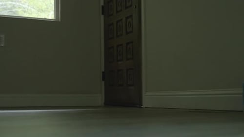 Un perro abre la puerta y entra a la casa. 4k 60 fps