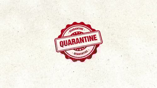 Quarantine Circle Golden Rubber Stamp Seal