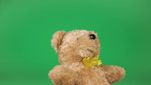 Stuffed and fluffy teddy toy brown bear playing and dancing on a green background.