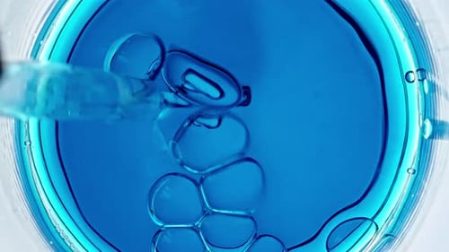 Des bulles d'air transparentes sortent d'une pipette de laboratoire et éclatent à la surface d'un liquide clair à Petri
