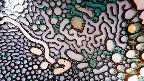 plan de motifs liquides abstraits créant des formes et des textures organiques complexes