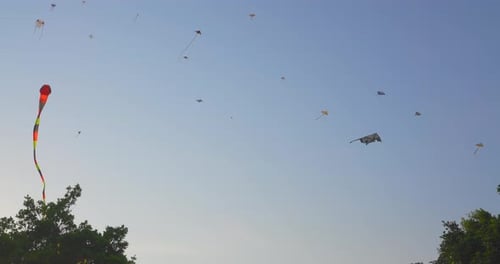 Shot of kites flying in the wind during a very beautiful day with no clouds during the day.