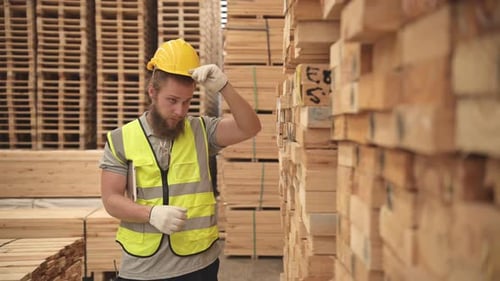 Porträt eines männlichen Arbeiters mit Helm und Sicherheitsweste in einem Holzlager