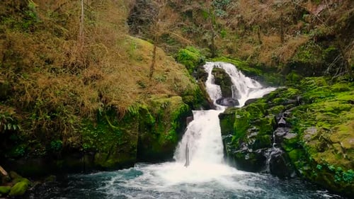 Rushing waterfall flyaway in mossy Oregon forest on secluded hike