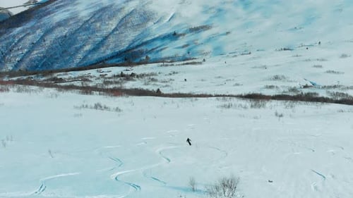 Free Ride Skier Descend in Off Piste Snow Powder