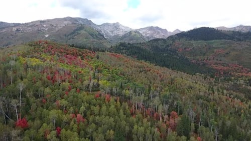 Snow dusts the mountain tops and trees change into reds and yellows in the high mountain forests of