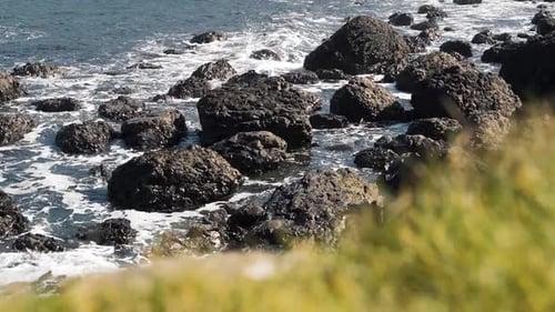 View of Giant's Causeway through grass in foreground, slow motion