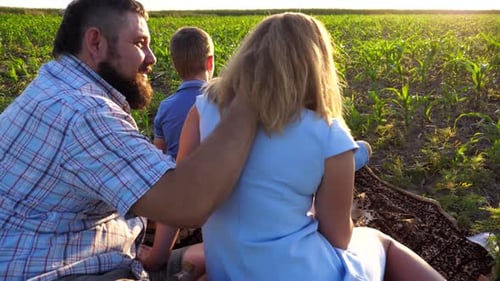 Young Parents with Two Sons Spending Time Together at Corn Meadow Mommy and Daddy with Children