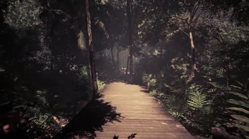 Exploring a Tranquil Wooden Pathway Through a Dense Tropical Forest