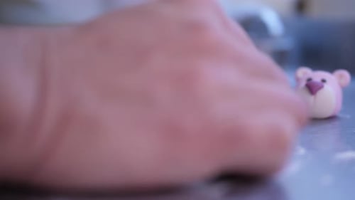 Bear Cake Decorations Close Up