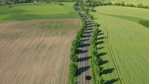 Cars Drive Fast on Asphalt Road Past Fields Aerial View