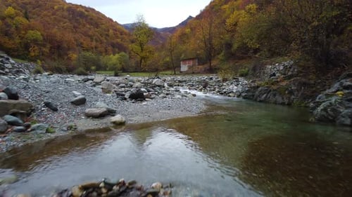 River in mountain forest with red and yellow trees autumn foliage aerial view
