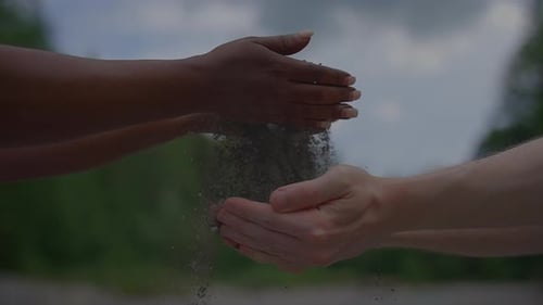 Unity and Diversity are Beautifully Represented By Hands in a Natural Environment