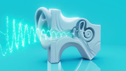 3D Human Ear Anatomy with Sound Wave Propagation Animation