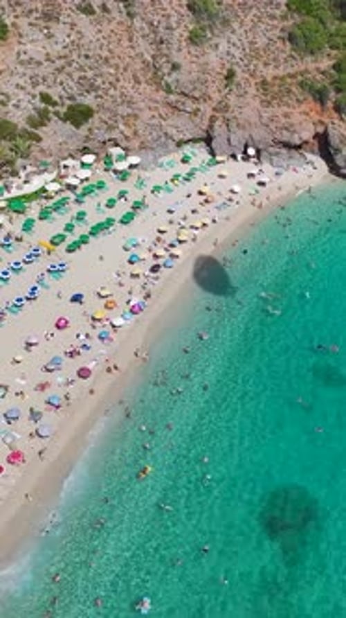Vertical Video Pristine White Sand Beach With Azure Waters and Gentle Waves Under a Clear Blue Sky