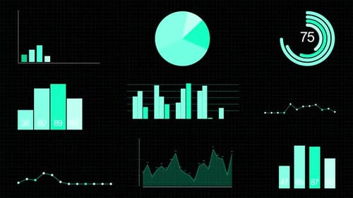 Modern Corporate Data Visualization Infographic Animation