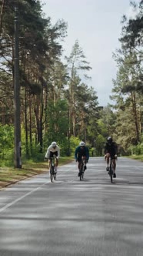 Wettkämpfende Männer mit Helmen fahren Fahrrad auf der Strecke im Wald