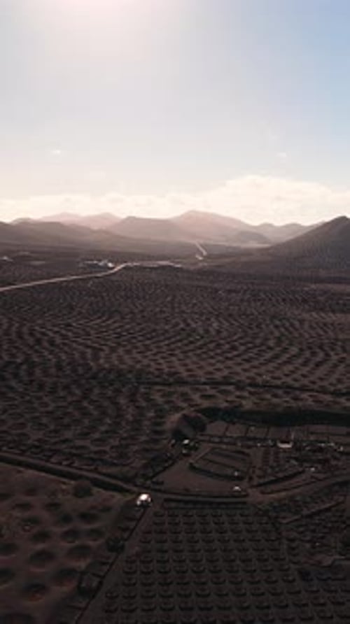 Vue aérienne des vignobles et des zocos de La Geria à Lanzarote