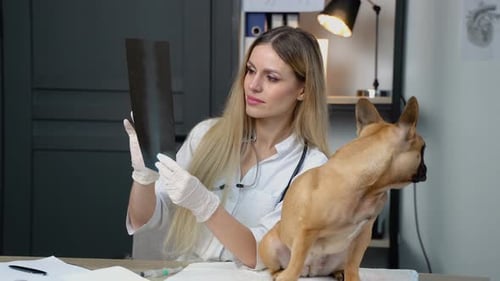 Vet Doctor with Dog Scrutinizing Dog's Xray in Veterinary Clinic