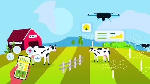 Farmer Using Phone Control Drone For Farm