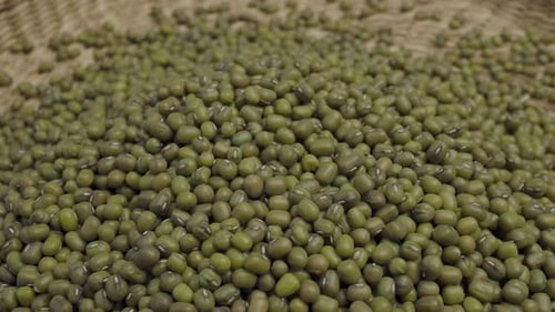 Montón de semillas crudas de judías mungo verdes o Vigna radiata