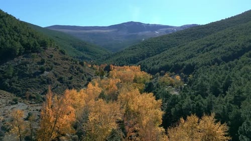 Treetops in the forest in autumn. High altitude flight aerial view of forest and mountains. Andalusi