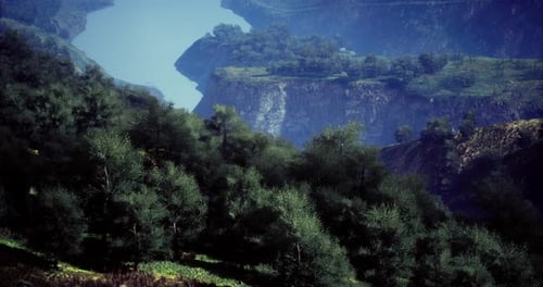 Lush Green Trees Surround a Serene River in a Rocky Landscape at Dusk