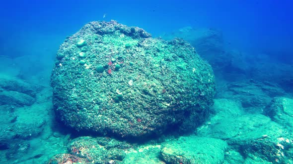Rocks Under The Sea Surface Of Sicily, Italy. Underwater Shot, Nature ...