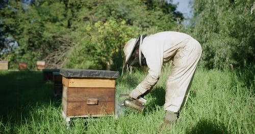 Someone's gotta make sure these bees are taken care of