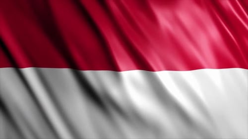 Red and White National Flag Waving Seamless Loop Animation