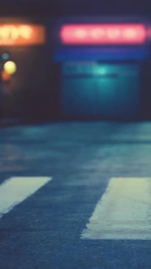 Night Scene of Japan City with Neon Lights