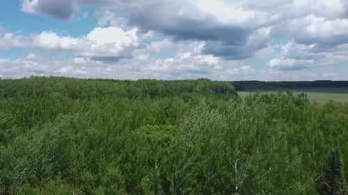Vue aérienne d'un grand marécage ouvert