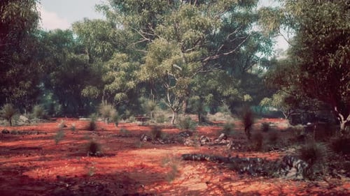 A Picturesque Landscape with Trees and a Dirt Field