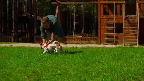 Mann spielt Ball mit Hund im Park