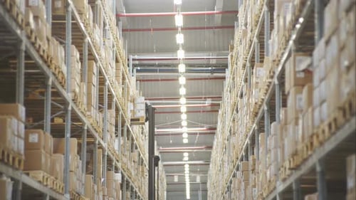 Fork Lifter Work in Big Warehouse