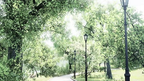 Forest Park Road Scenery in Green Countryside