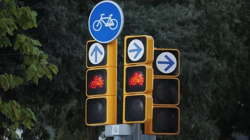 Green Bicycle Signal Indicating Right of Way for Cyclists at Public Traffic Intersection