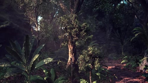 Lush Greenery and Sunlight Filtering Through Trees in a Serene Forest Setting