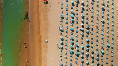 Blue Umbrellas and Sun Lounges Installed on Sandy Beach