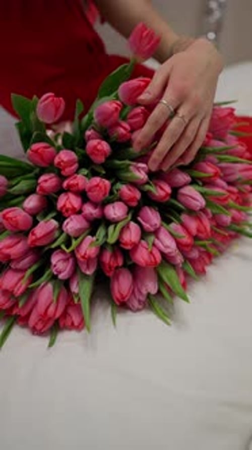 Female Hand Touching a Bouquet of Pink Tulips Concept of Touching Flowers