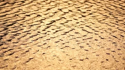 Sun Reflecting on Sparkling Sea Lake Water Surface Ocean at Sunset Sunrise Sunrays Flickering in