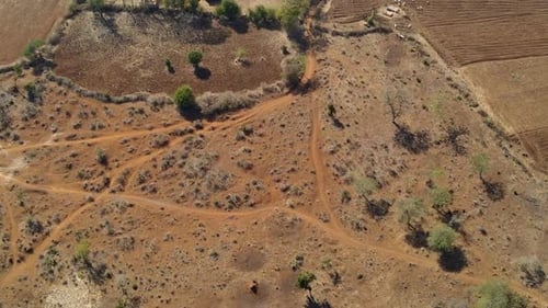Drone view of the rural kenya. Drought crisis in kenya - climate change in kenya