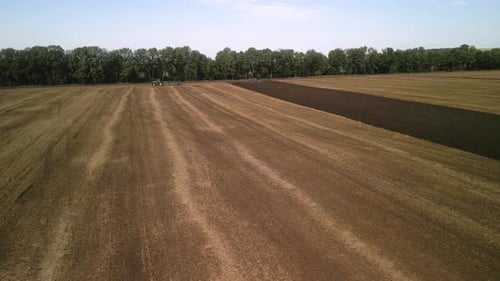 Wheat field aerial view in Ukraine