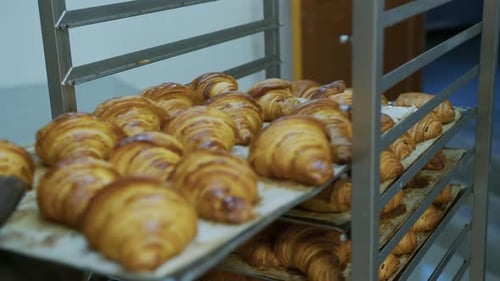 Freshly Baked Croissants on Rack in Bakery