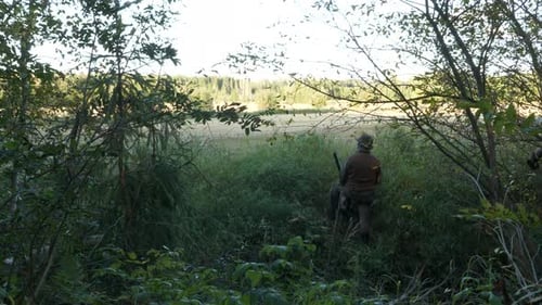 Hunter hiding in bushes and grass, scouting field for potential target, 10-bit flat color profile