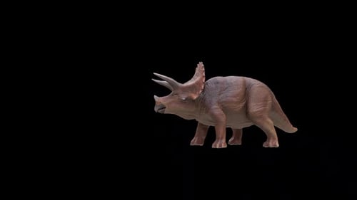 Triceratops-Dinosaurierfutter
