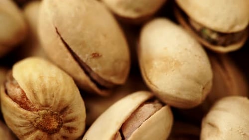 Macro Close-up of Raw Pistachios in Shells