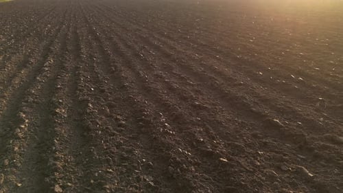 Champ de terres arables agricoles 61
