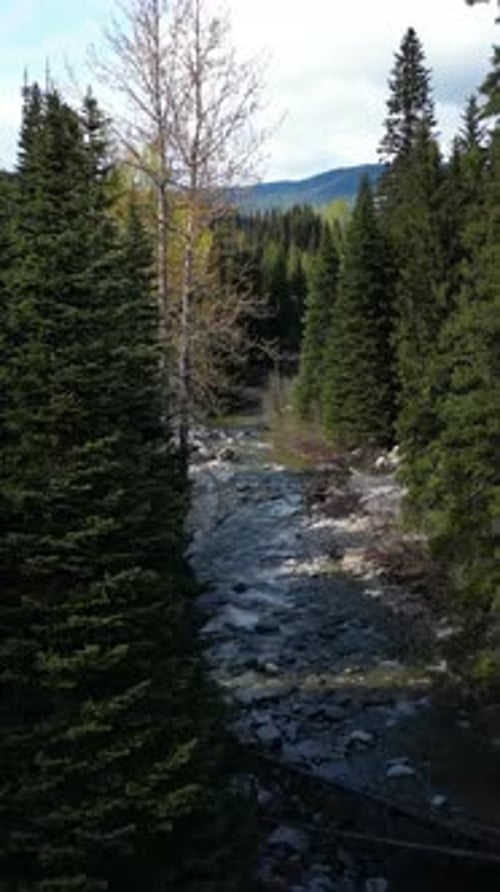 Vorbeirauschendes Bergbachwasser. Bäume, bewölkter Himmel. Britisch-Kolumbien, Kanada.