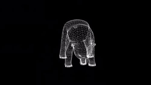Animated Wireframe Bear Looking Down